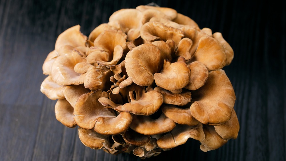 Maitake